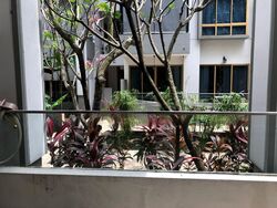 The Maylea (D5), Condominium #466456351